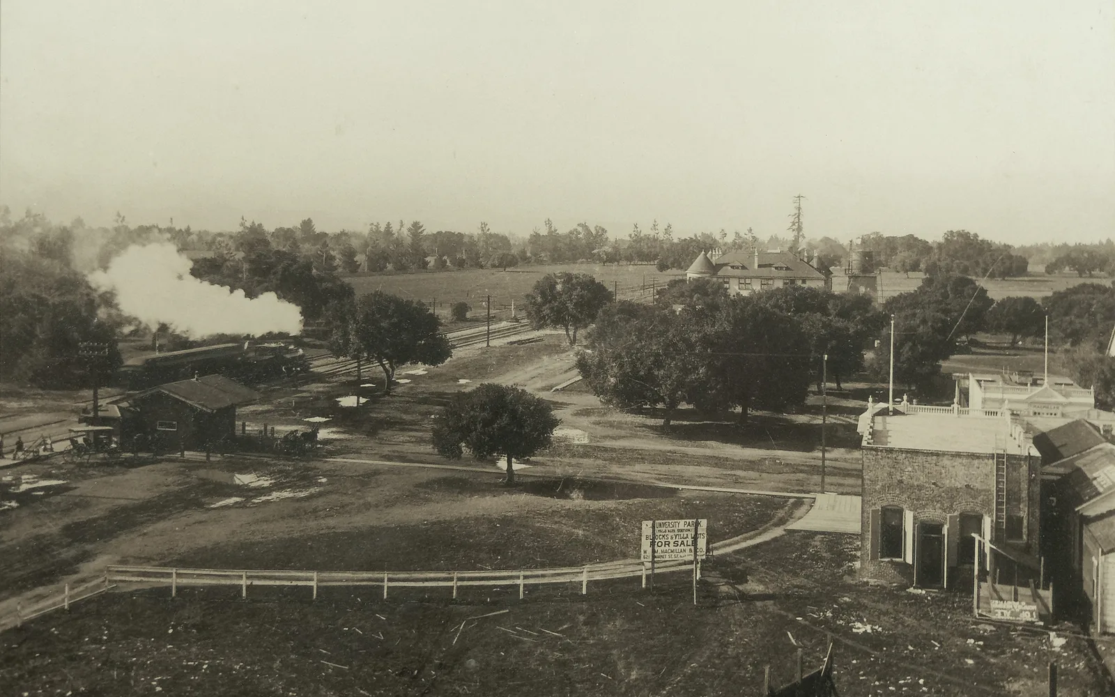 A historical photograph from 1894 of University Avenue in Palo Alto facing northeast, with the El Palo Alto tree visible in the distance and a train on the tracks
